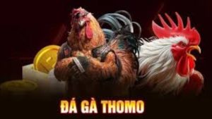 Luật chơi đá gà cực kỳ dễ hiểu