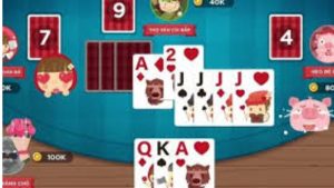 Nắm vững những lưu ý cơ bản khi dụ heo đỏ